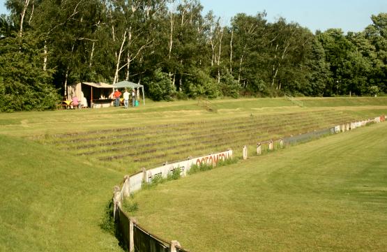 M&uuml;nchfeldstadion